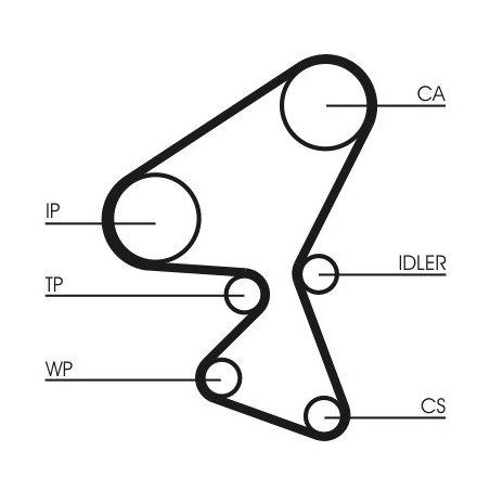 Courroie de distribution CONTINENTAL CTAM