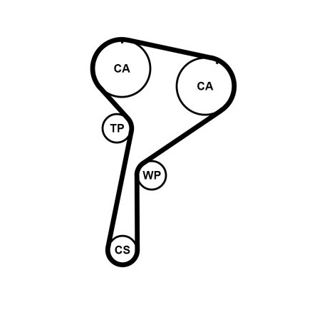 Courroie de distribution CONTINENTAL CTAM