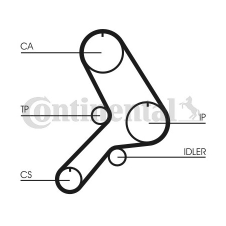 Courroie de distribution CONTINENTAL CTAM