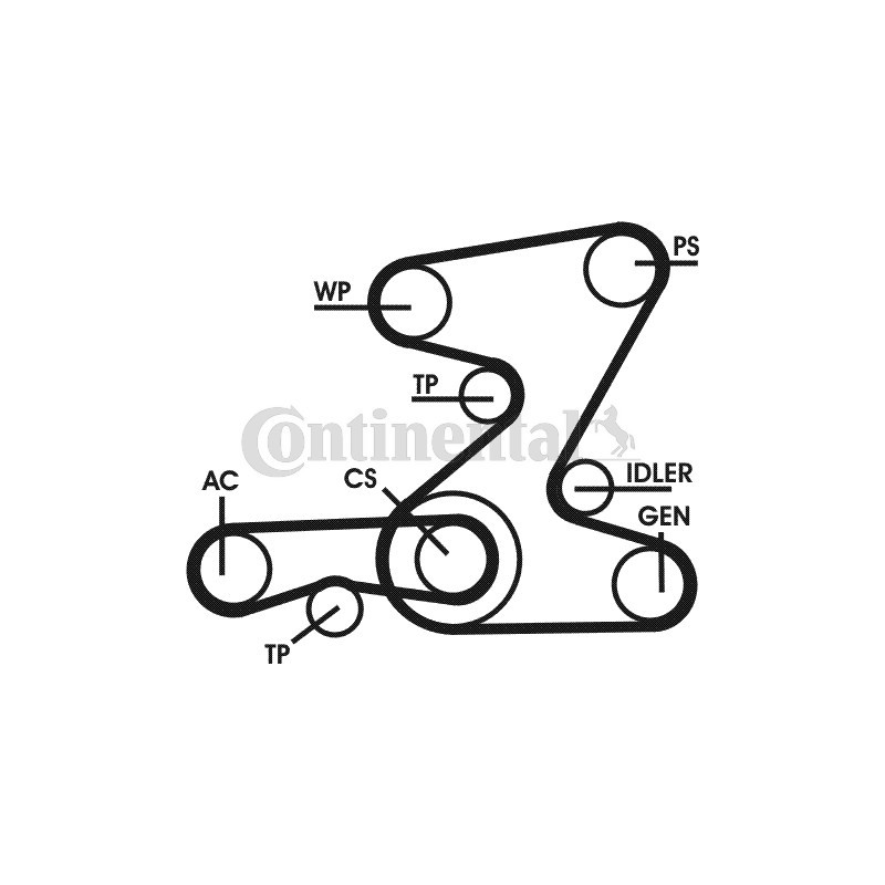Kit de courroies d'accessoire CONTINENTAL CTAM
