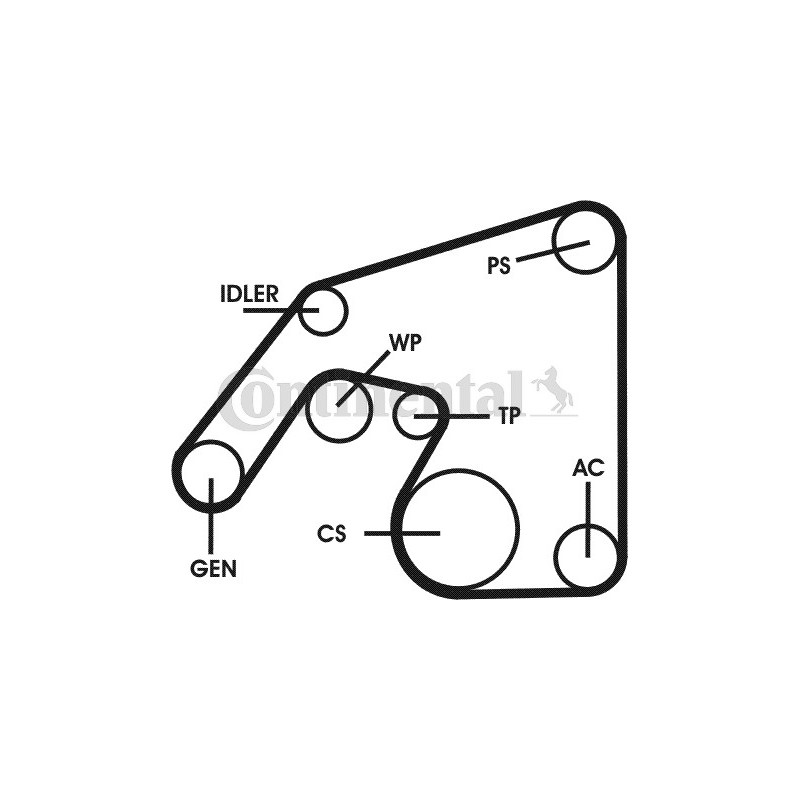 Kit de courroies d'accessoire CONTINENTAL CTAM