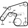 Kit de courroies d'accessoire CONTINENTAL CTAM