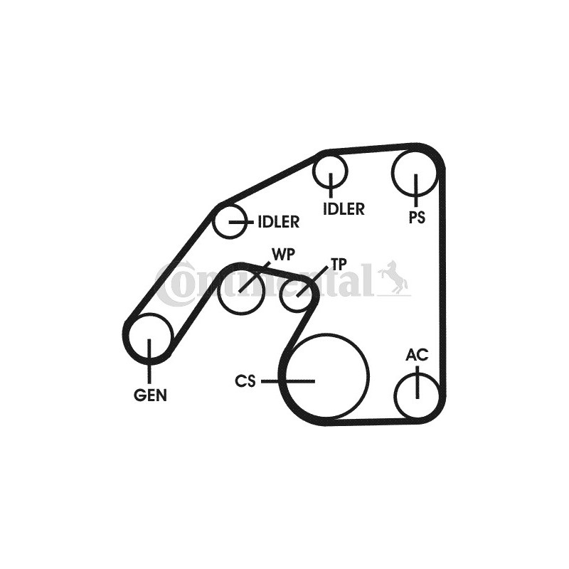 Kit de courroies d'accessoire CONTINENTAL CTAM