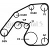 Kit de courroies d'accessoire CONTINENTAL CTAM