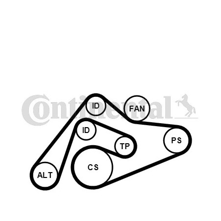 Kit de courroies d'accessoire CONTINENTAL CTAM