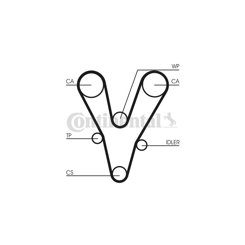 Courroie de distribution CONTINENTAL CTAM