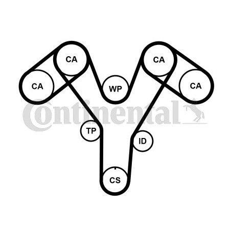 Kit de distribution CONTINENTAL CTAM