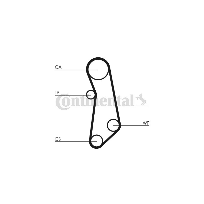 Courroie de distribution CONTINENTAL CTAM