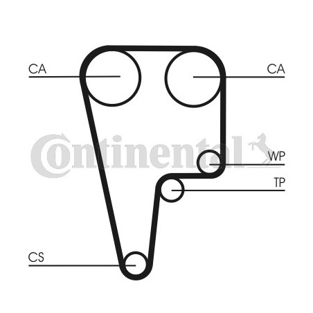 Courroie de distribution CONTINENTAL CTAM