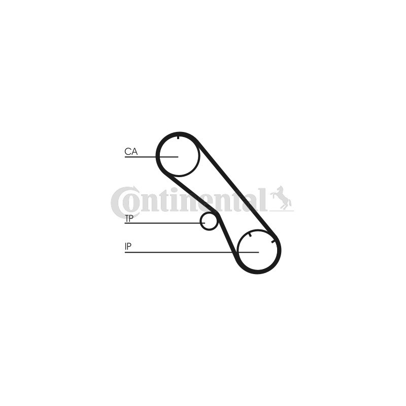 Courroie de distribution CONTINENTAL CTAM