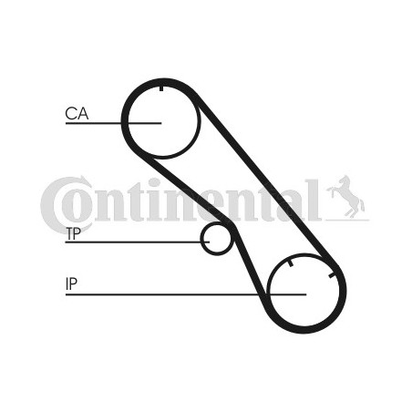 Courroie de distribution CONTINENTAL CTAM