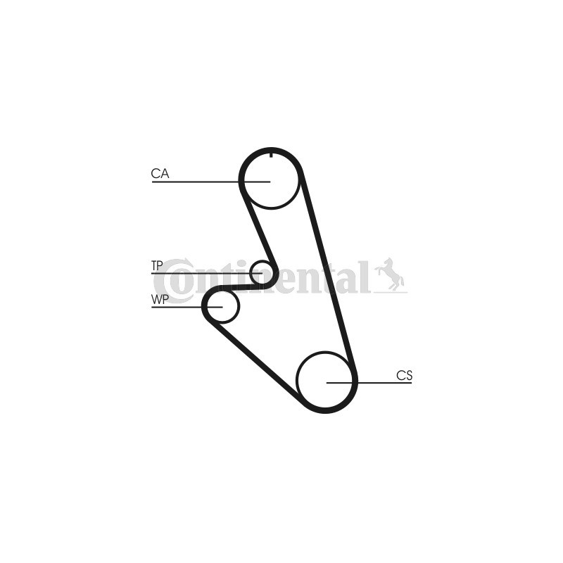 Courroie de distribution CONTINENTAL CTAM