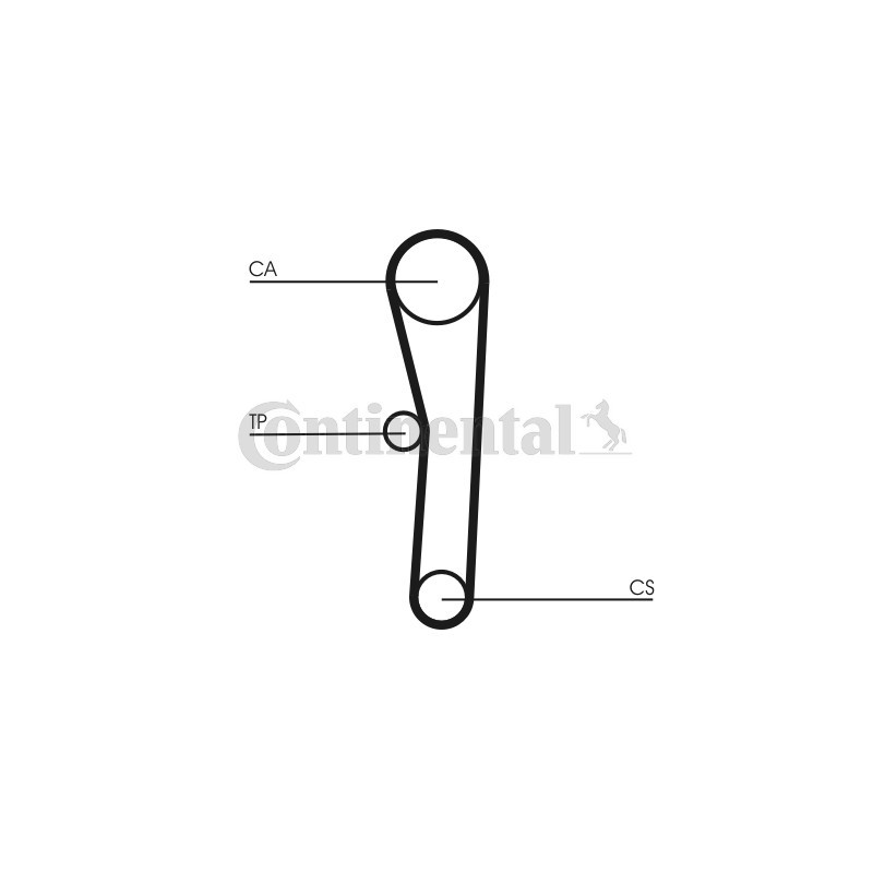 Courroie de distribution CONTINENTAL CTAM