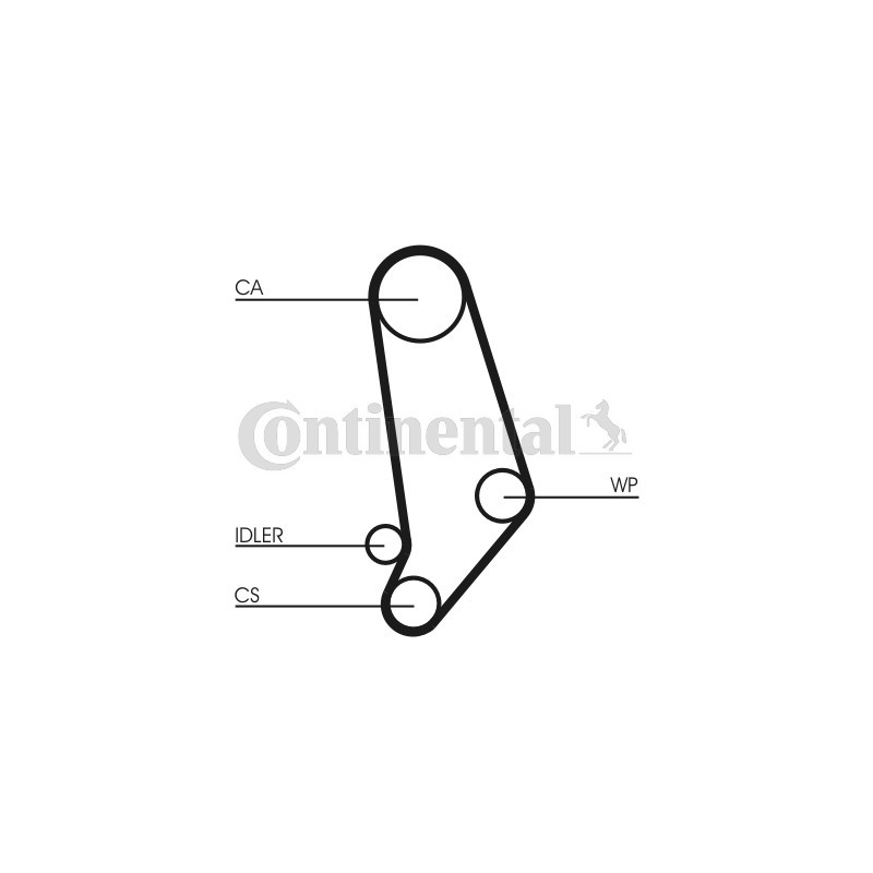 Courroie de distribution CONTINENTAL CTAM
