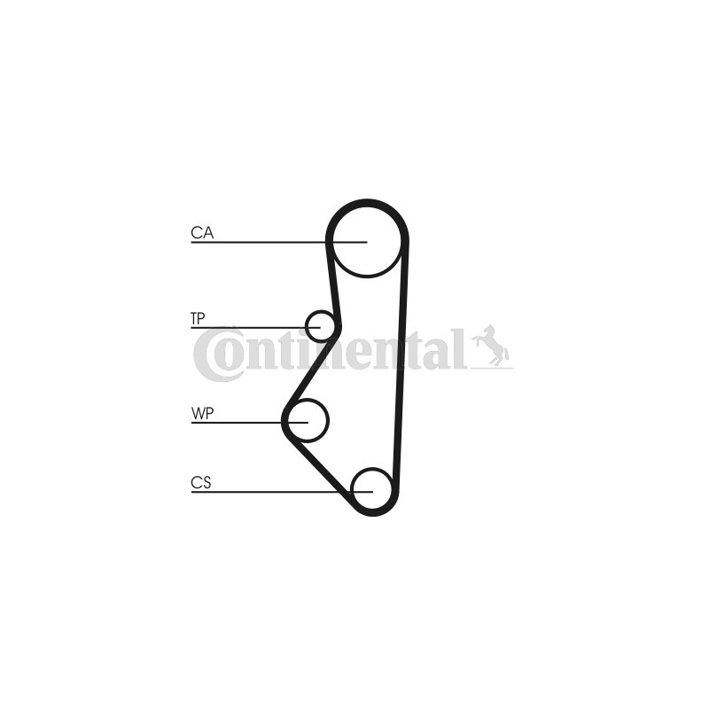 Courroie de distribution CONTINENTAL CTAM