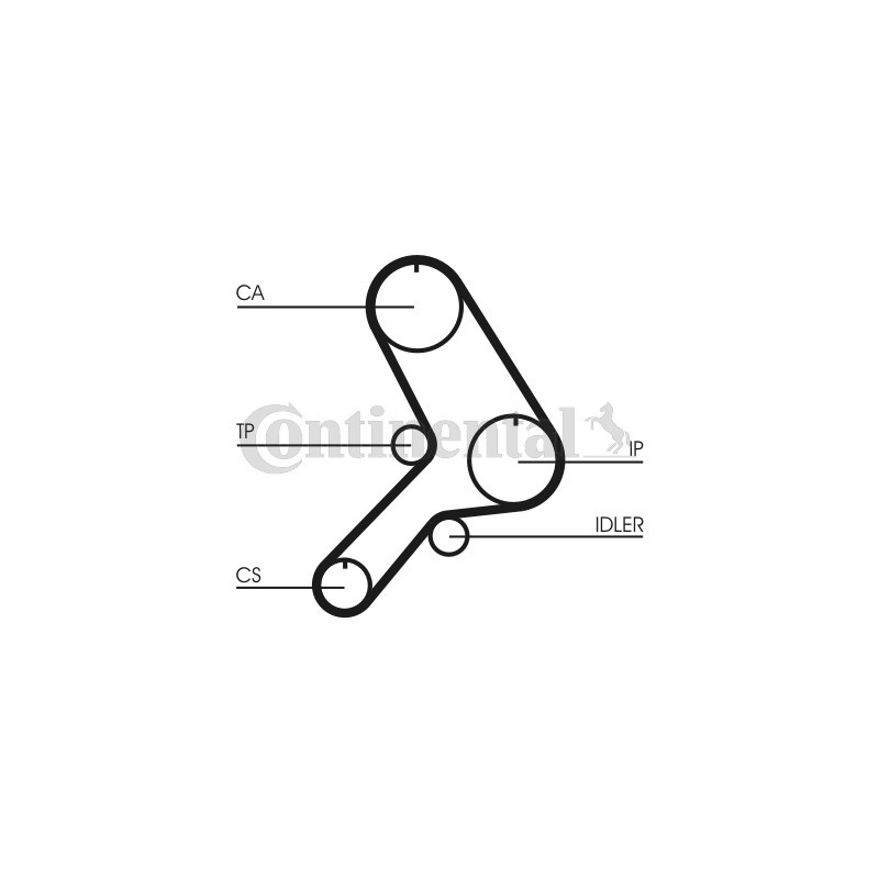 Courroie de distribution CONTINENTAL CTAM