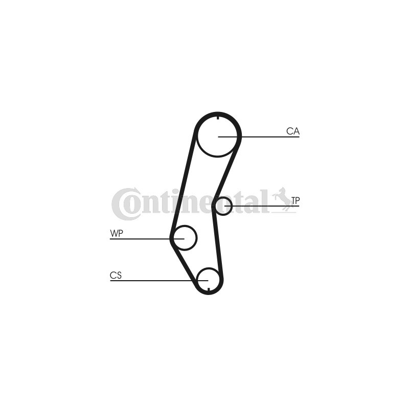 Courroie de distribution CONTINENTAL CTAM