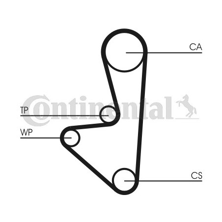 Courroie de distribution CONTINENTAL CTAM