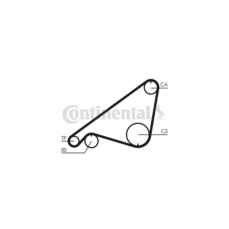 Courroie de distribution CONTINENTAL CTAM