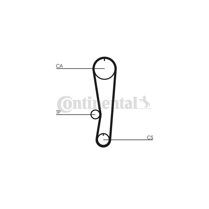 Courroie de distribution CONTINENTAL CTAM