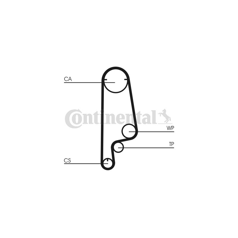 Courroie de distribution CONTINENTAL CTAM
