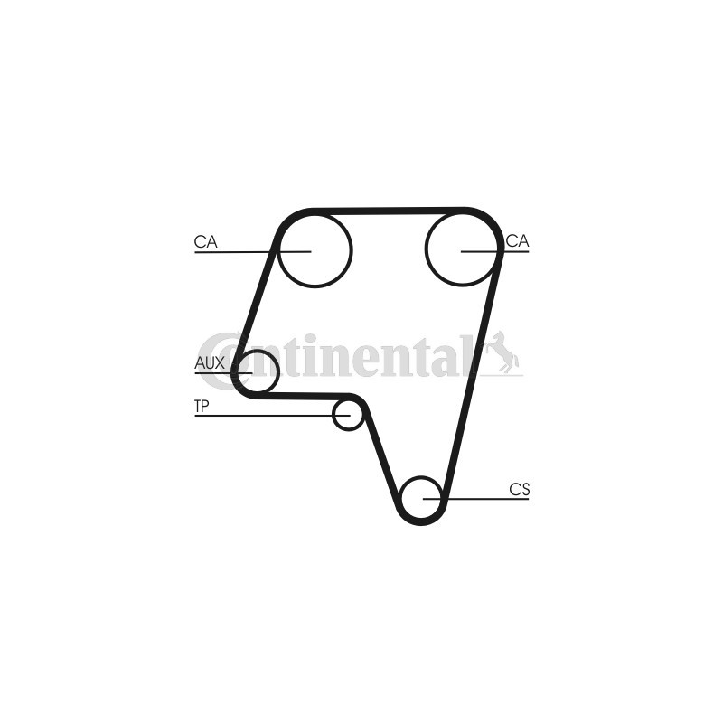 Courroie de distribution CONTINENTAL CTAM