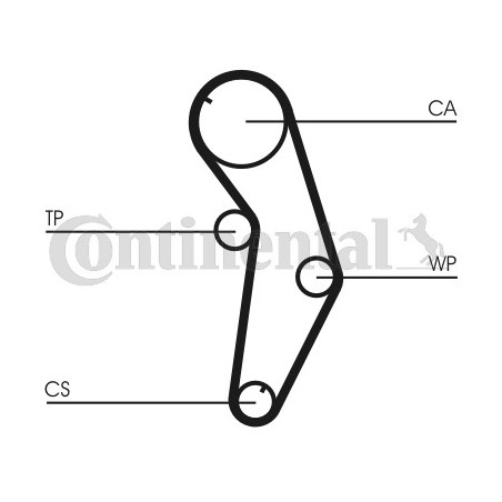 Courroie de distribution CONTINENTAL CTAM