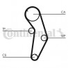 Courroie de distribution CONTINENTAL CTAM
