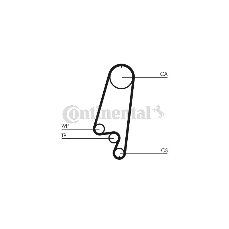 Courroie de distribution CONTINENTAL CTAM