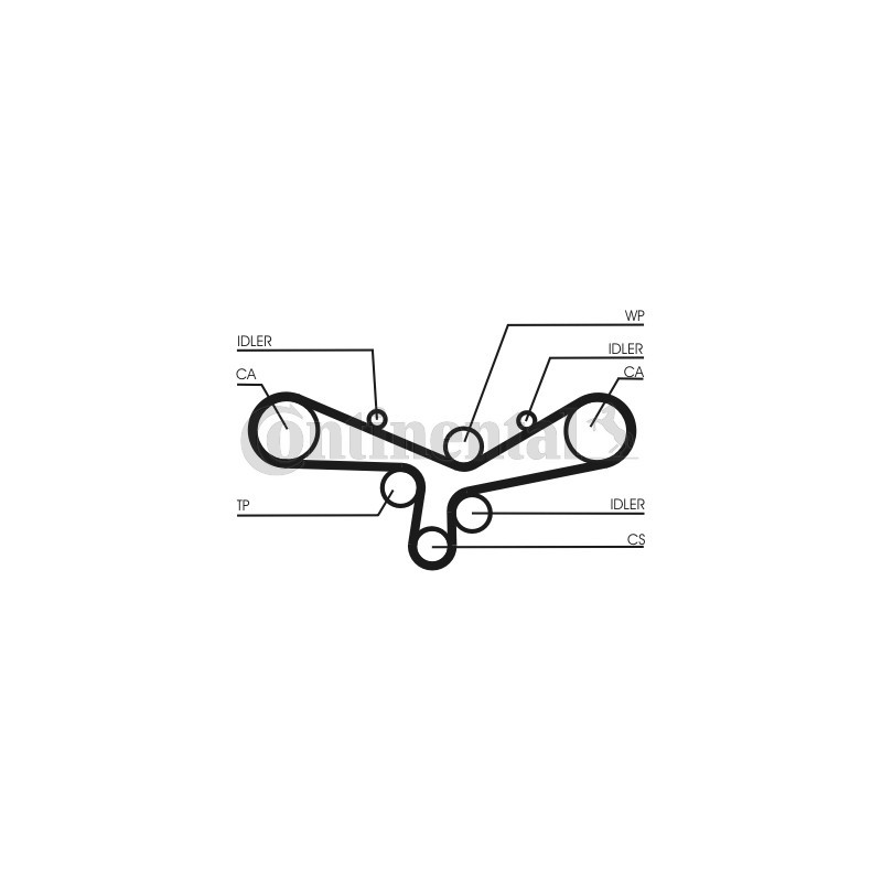 Courroie de distribution CONTINENTAL CTAM