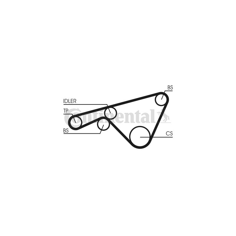 Courroie de distribution CONTINENTAL CTAM