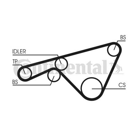 Courroie de distribution CONTINENTAL CTAM