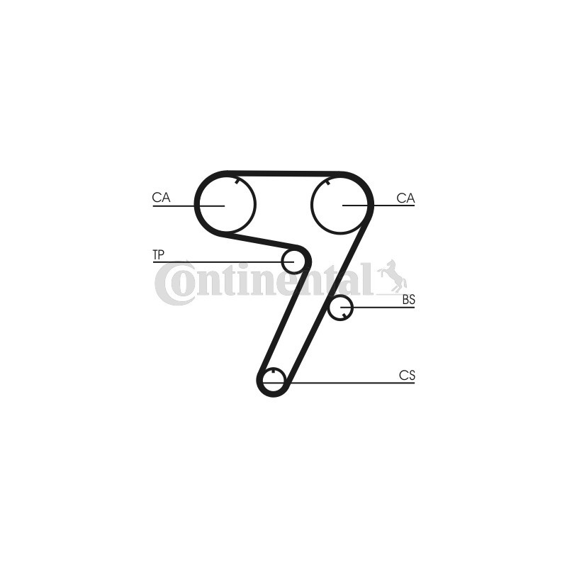 Courroie de distribution CONTINENTAL CTAM