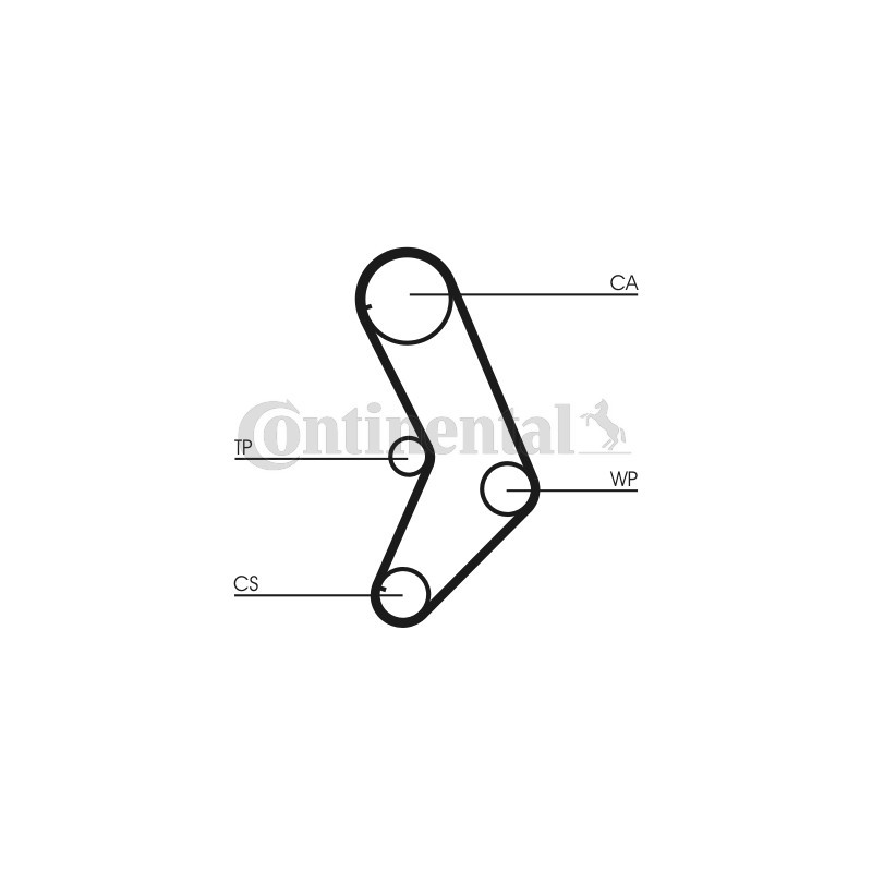 Courroie de distribution CONTINENTAL CTAM