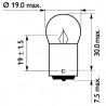 Ampoule (feu arrière / feu clignotant) PHILIPS