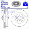 Jeu de 2 disques de frein DELPHI