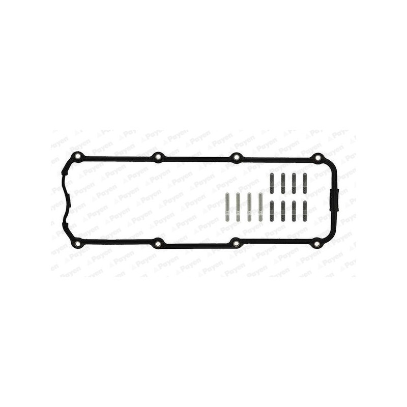 Jeu de joints d'étanchéité (couvercle de culasse) PAYEN