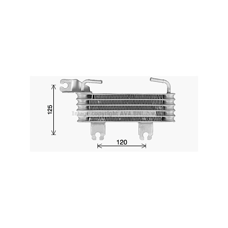 Radiateur d'huile AVA QUALITY COOLING