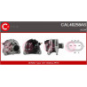 Alternateur CASCO