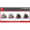 Alternateur CASCO