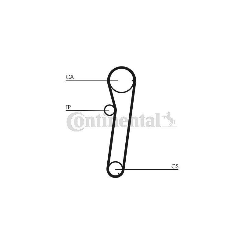 Courroie de distribution CONTINENTAL CTAM