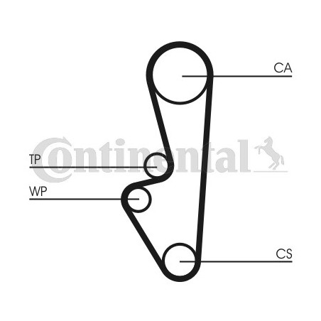 Courroie de distribution CONTINENTAL CTAM