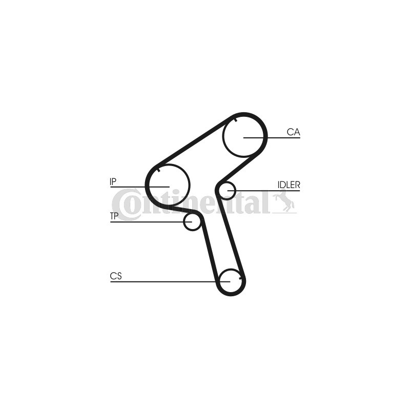 Courroie de distribution CONTINENTAL CTAM