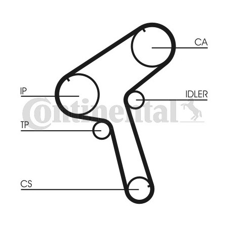 Courroie de distribution CONTINENTAL CTAM