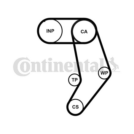 Kit de distribution CONTINENTAL CTAM