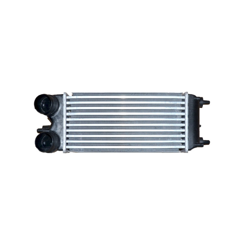 Intercooler (échangeur d'air) NRF